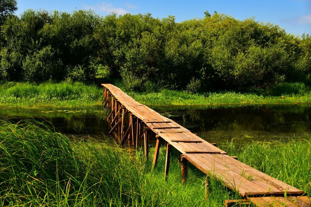 Photograph by Николай Абакумов