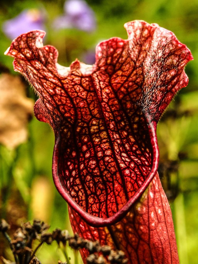 Photograph by Дмитрий Потапов