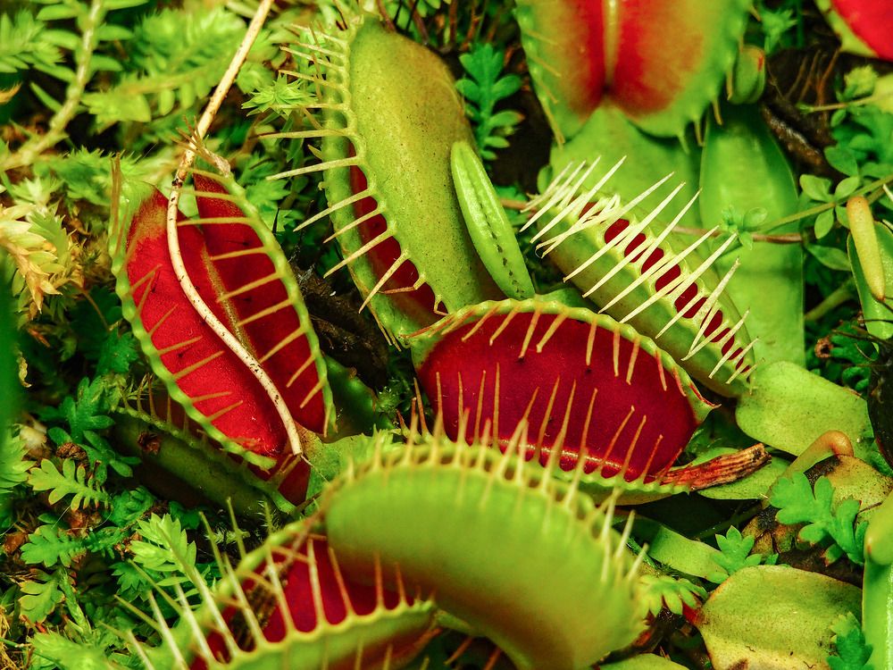 Photograph by Дмитрий Потапов