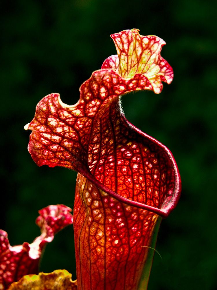 Photograph by Дмитрий Потапов