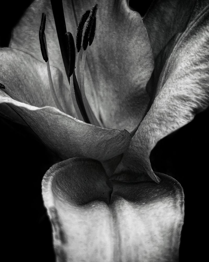 Photograph by Оксана Якименко