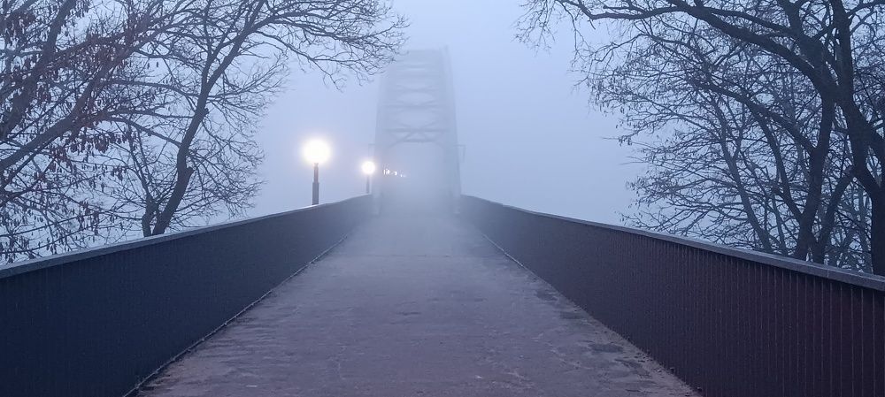 Photograph by Mishel Photographer