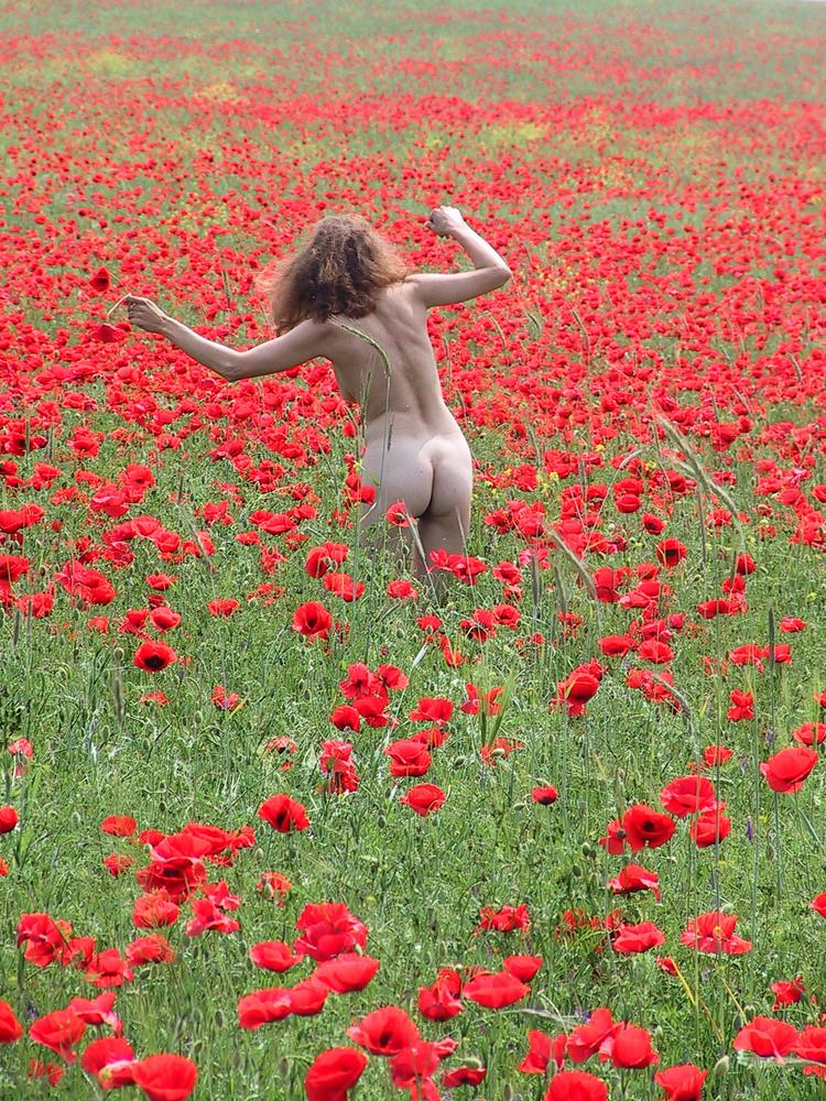 Photograph by Дмитрий Потапов