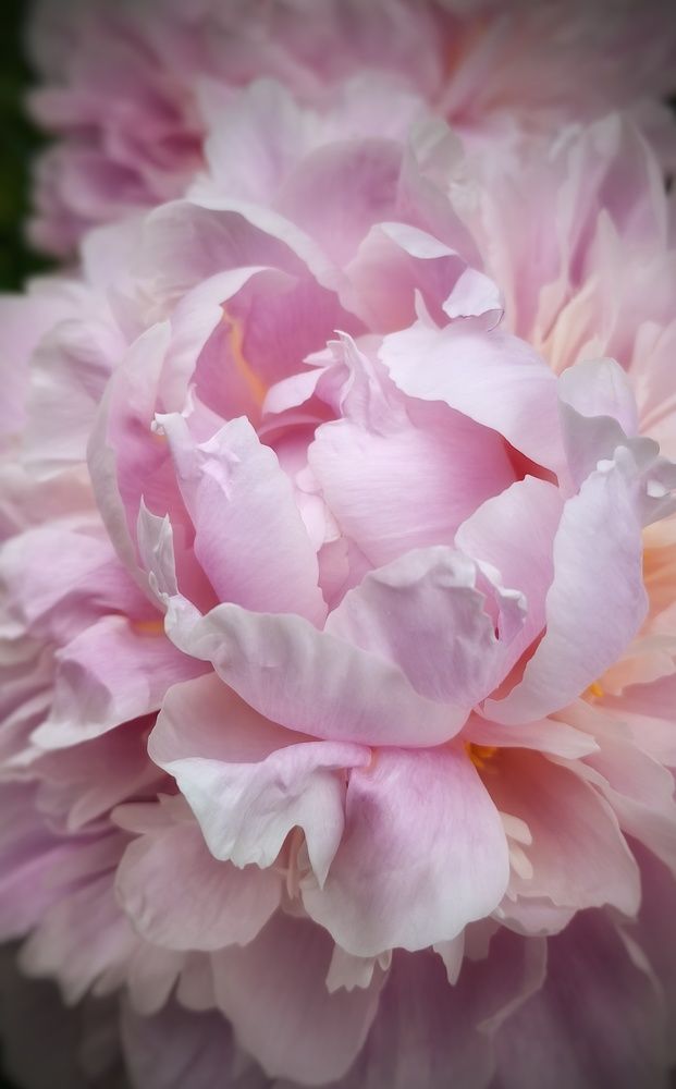 Photograph by Наталия Мельникова