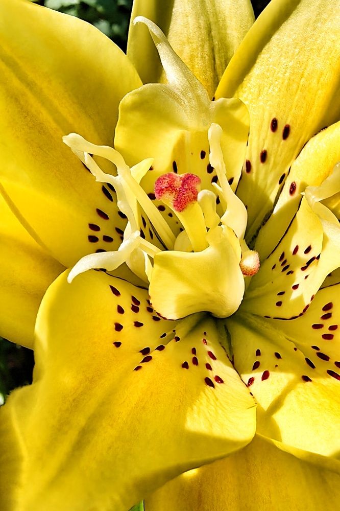 Photograph by Наталия Мельникова