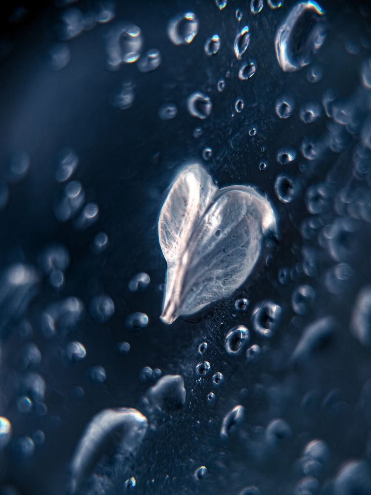 Photograph by Елена Макеева