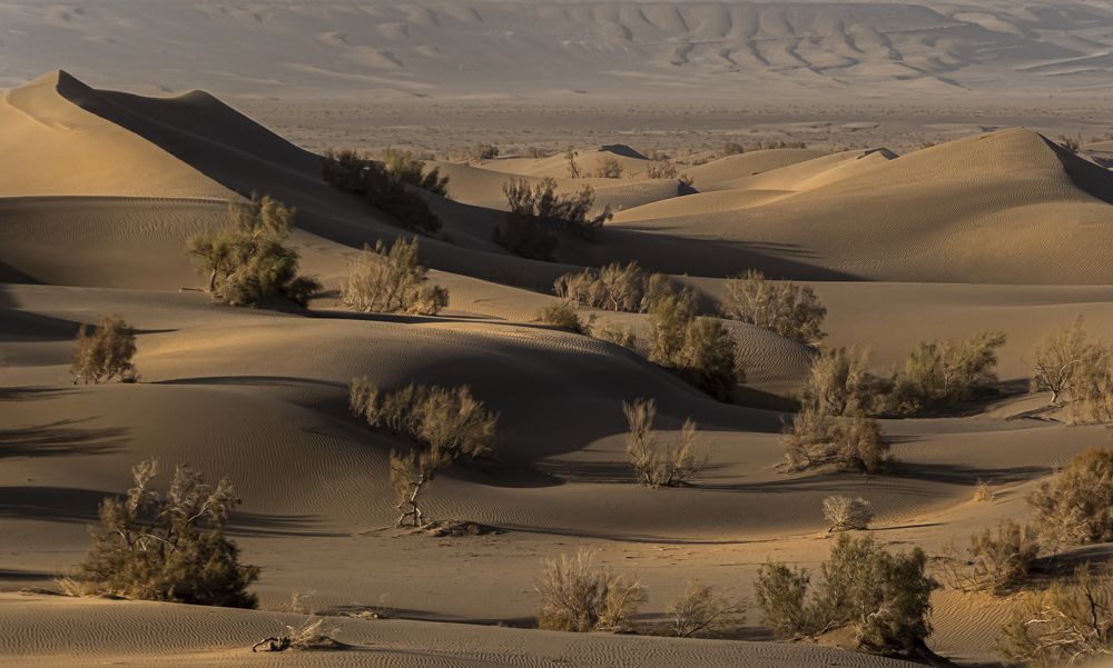 Фотография автора Neda Shirazi