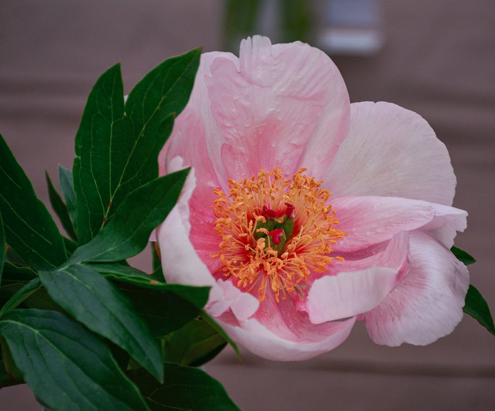 Photograph by Inna Ivanova