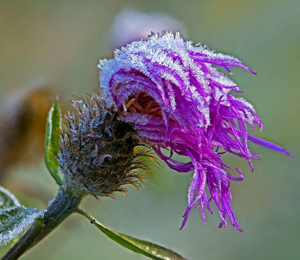 Photograph by Борис Новиков