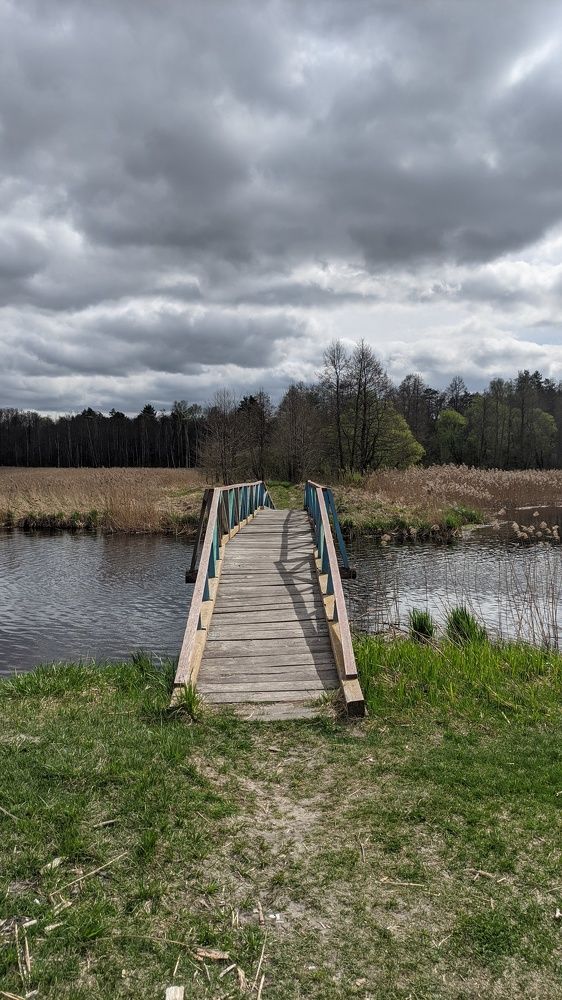 Фотография автора Васильева Ирина