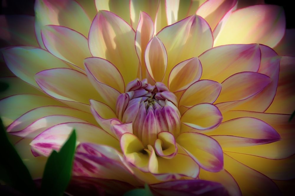 Photograph by Юлия Кранина