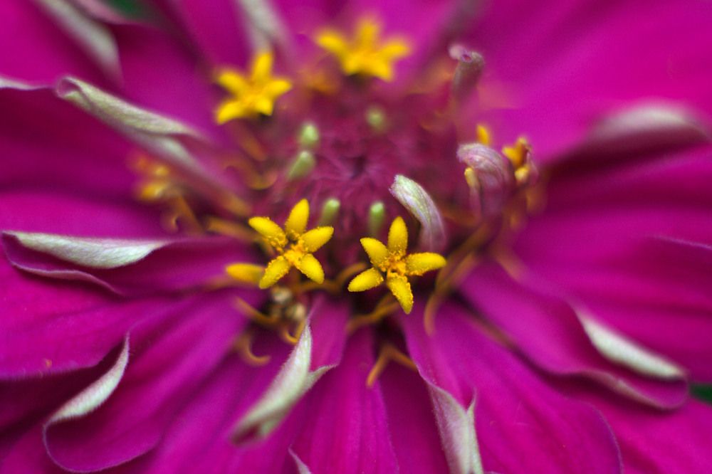 Photograph by Yroslava Veretina