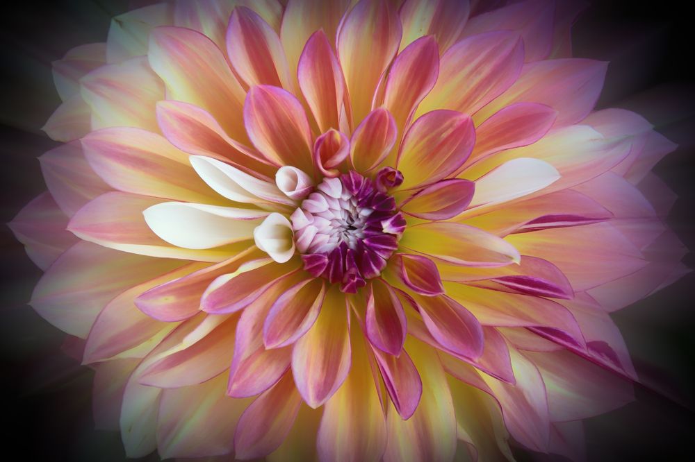 Photograph by Юлия Кранина