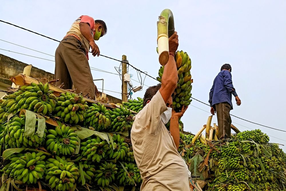 Photograph by Supriyo Das