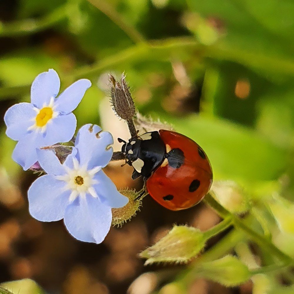 Photograph by Оксана Бессчетнова
