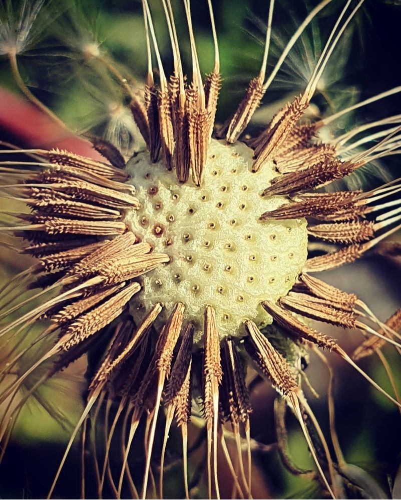 Photograph by Оксана Бессчетнова