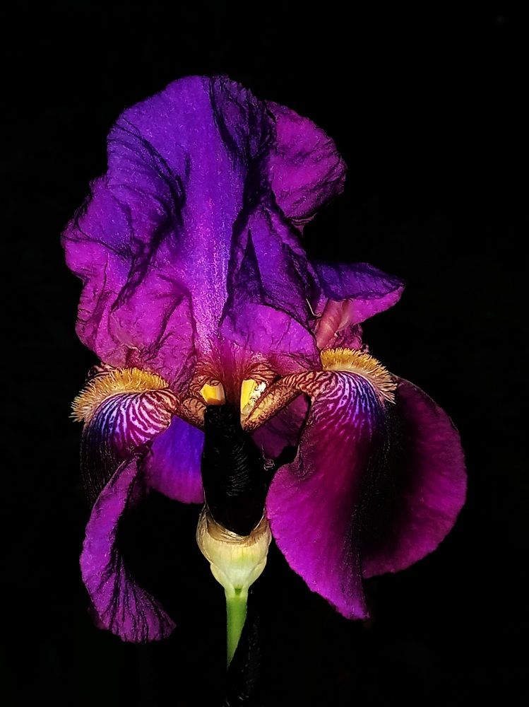 Photograph by Елена Никитина