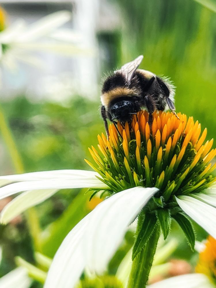 Photograph by Anya Lo