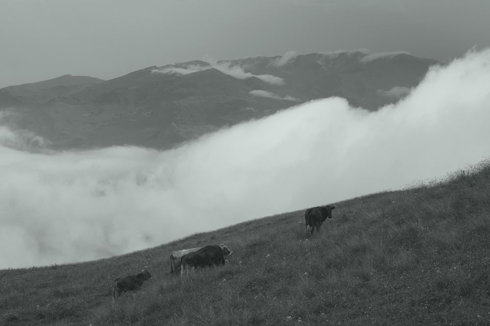 Photograph by Рустам Гаджиев