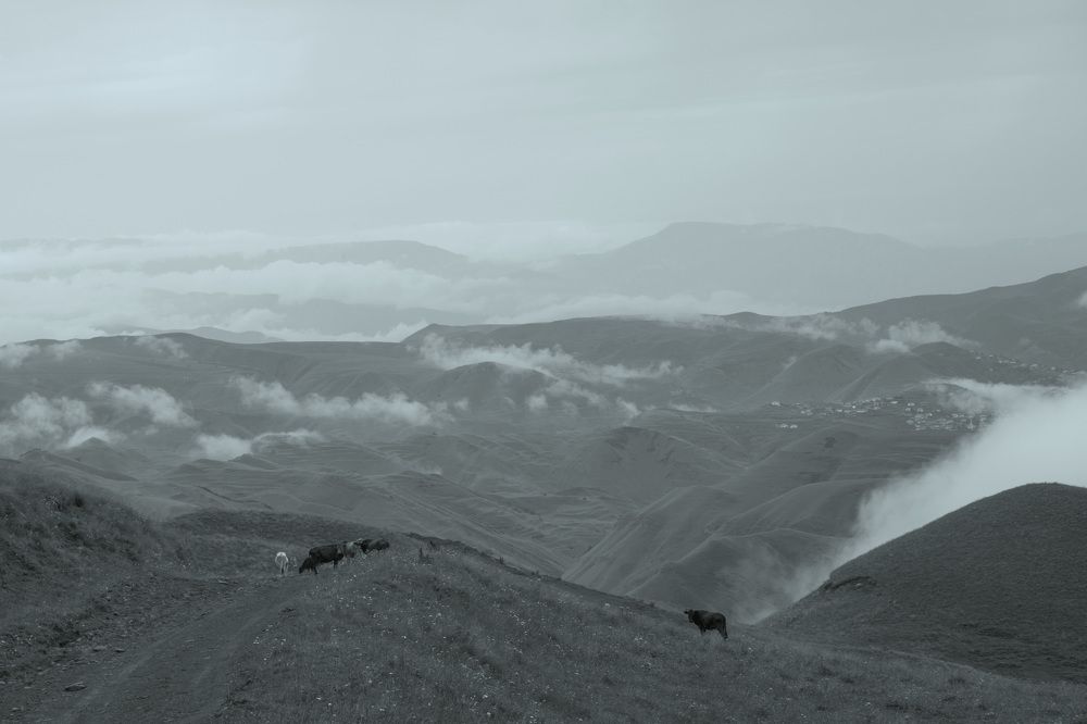 Photograph by Рустам Гаджиев