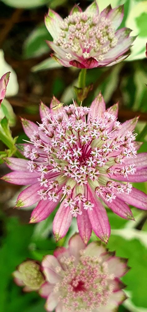 Photograph by Оксана Бессчетнова