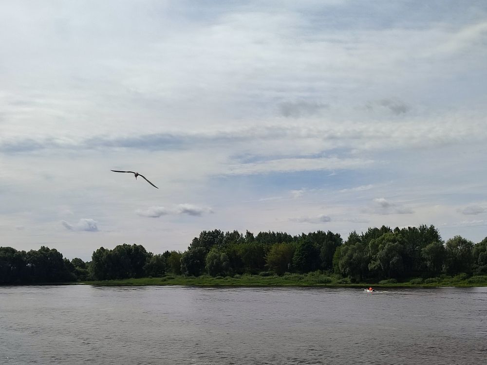 Фотография автора Мария Филиппова