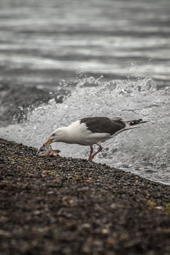 Photograph by Анастасия Рубан