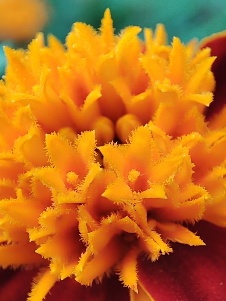 Photograph by Валентина