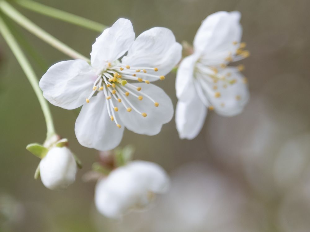 Photograph by Рина Серёгина