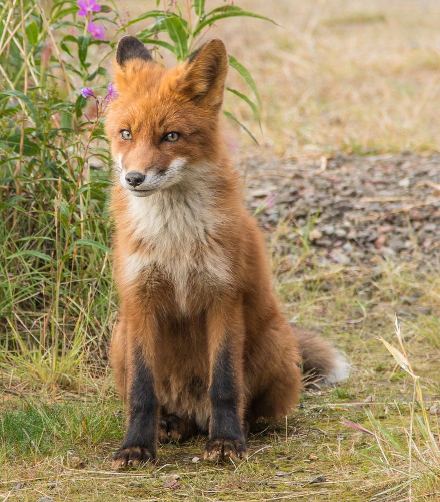 Photograph by Валерий Коненков