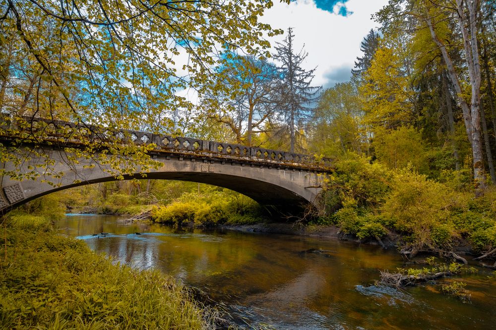 Photograph by Мария Покотилова