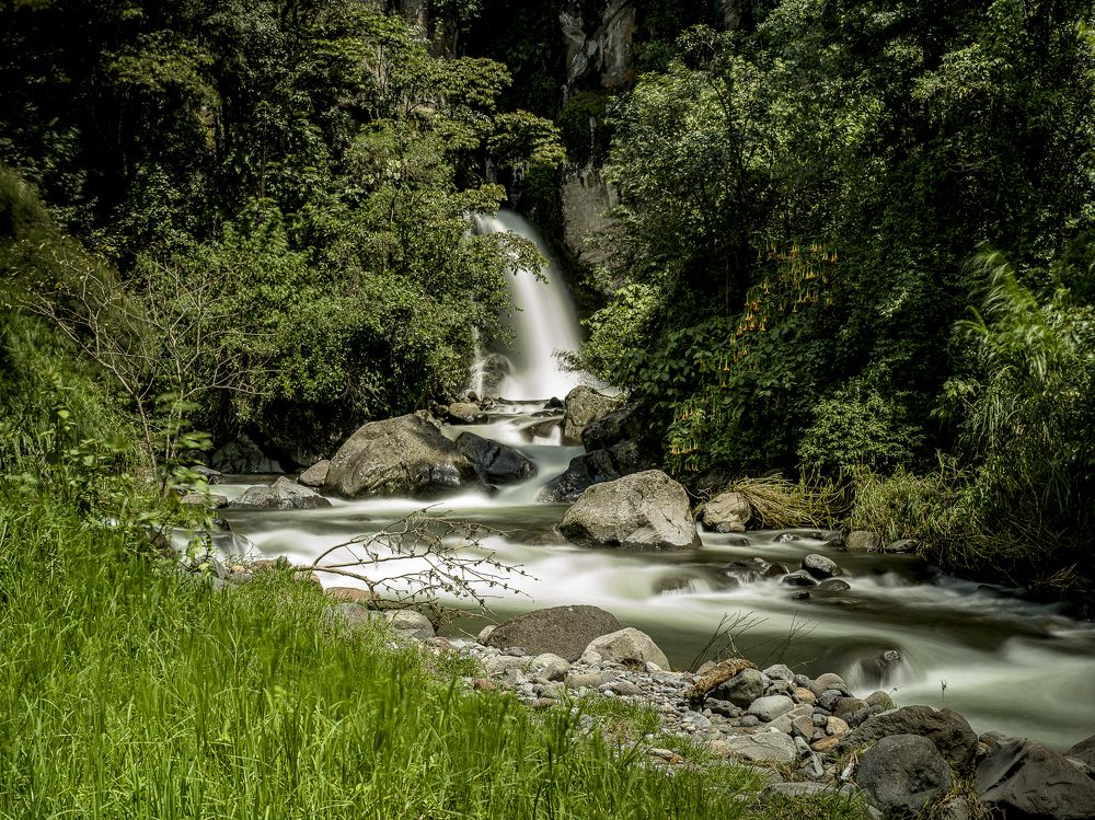 Photograph by Armando López-Guerrero