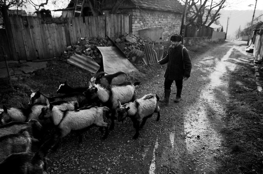 Photograph by Коробчей Іван