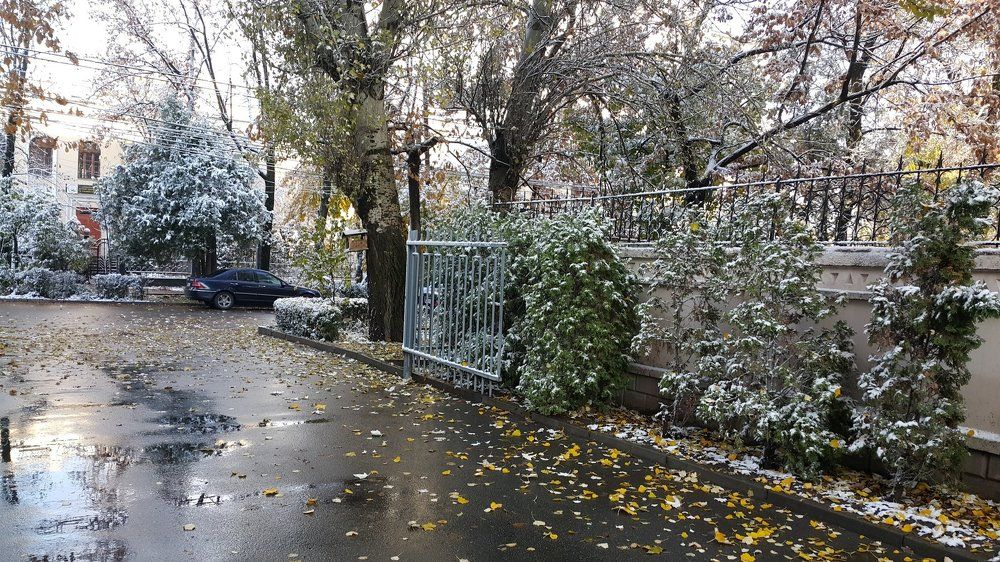 Photograph by Рысалиева Жанара