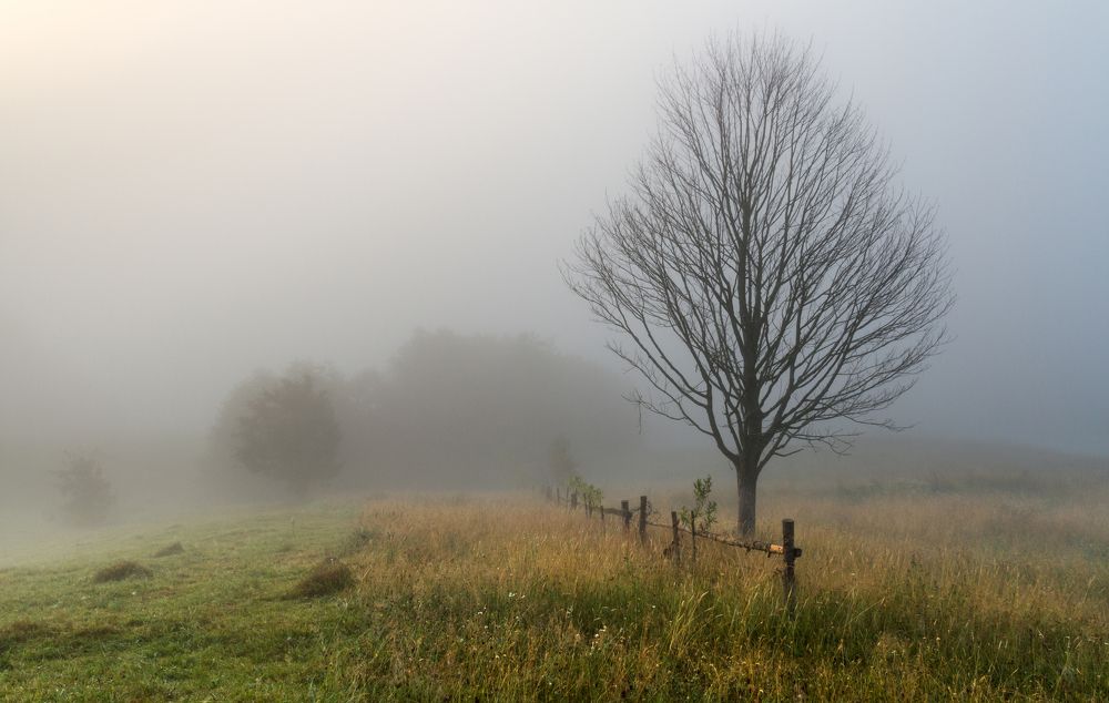 Краса всупереч