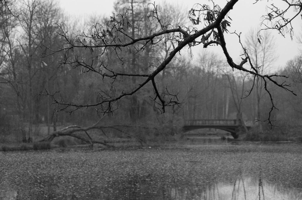 Черная молния