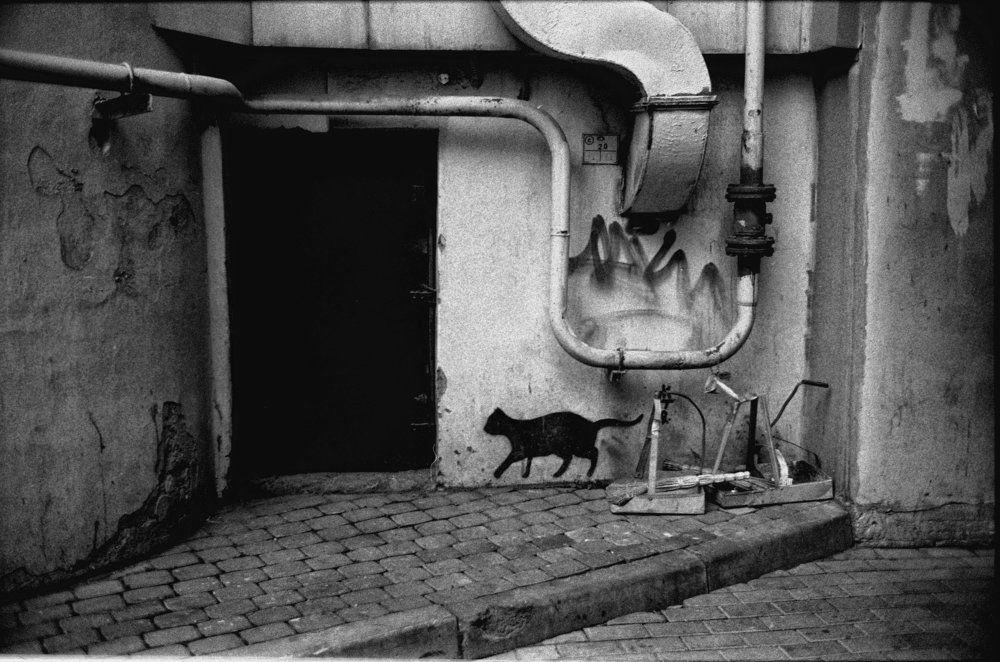 из серии Питер- свет и тени