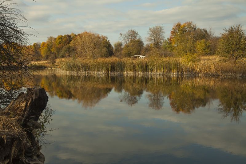 Наталья Осадчая, Russia