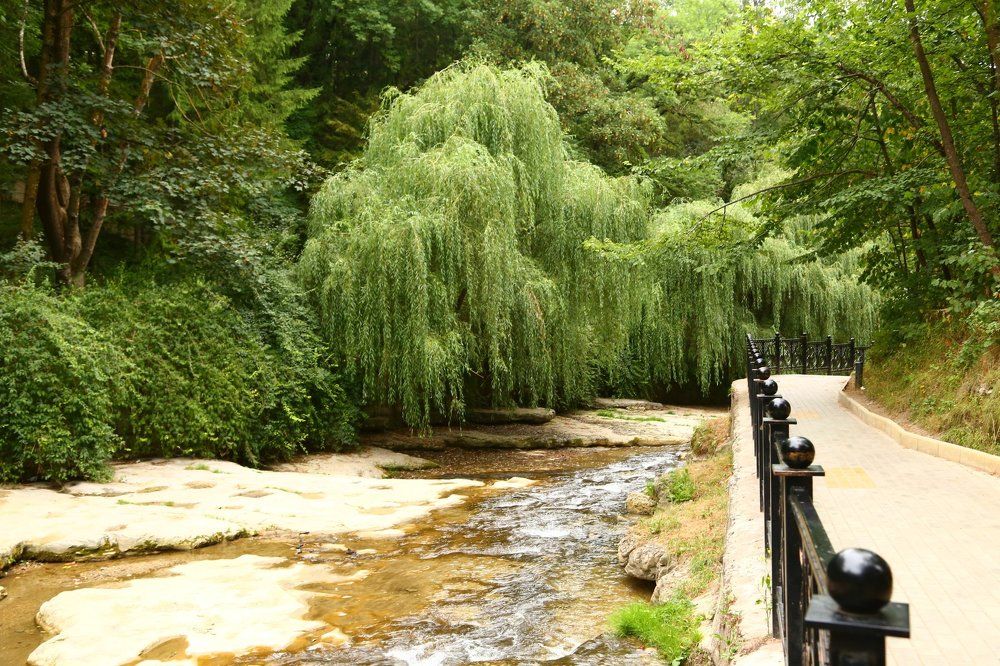 "Красота Кисловодска!"