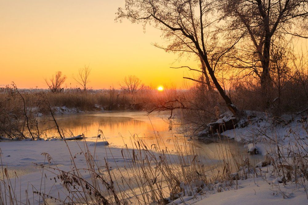 Зимнее утро