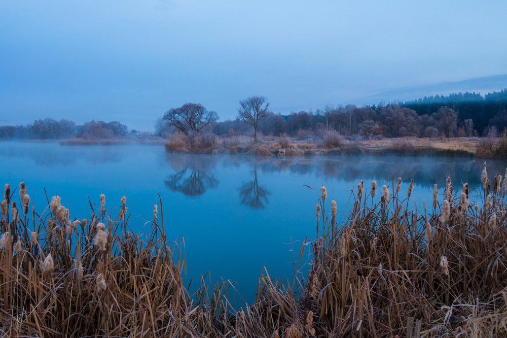 Ноябрьское утро