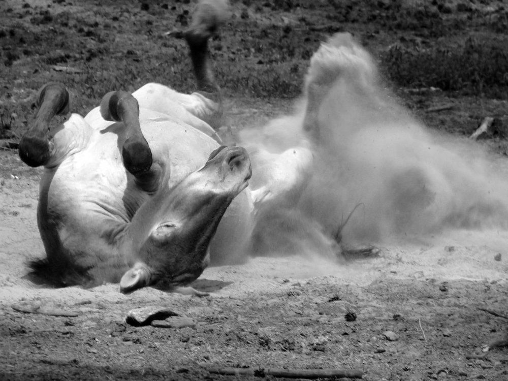 настроение