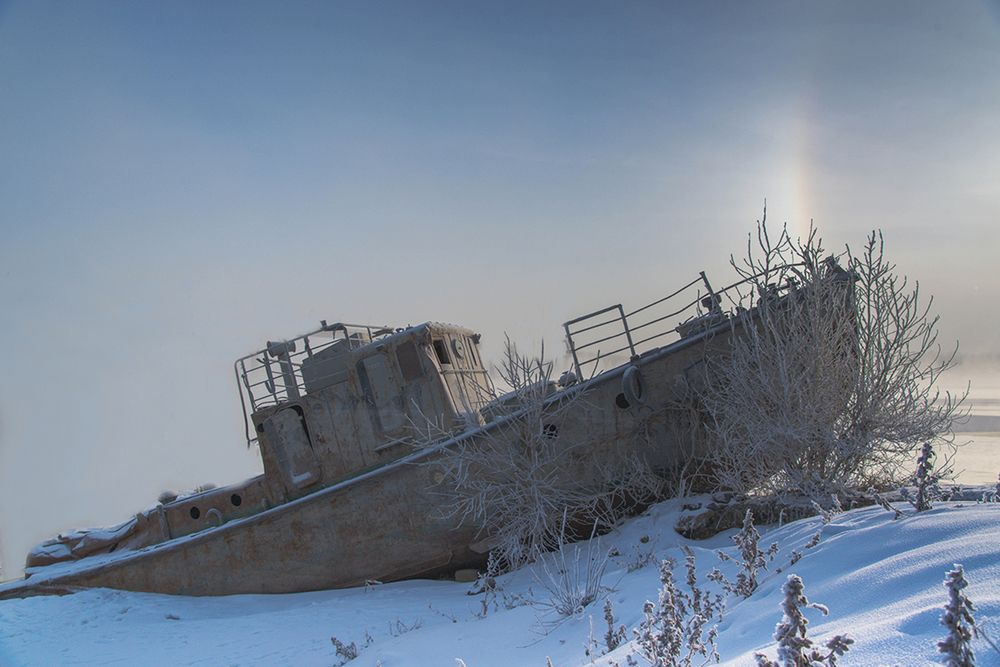 Волгоградский Левиафан