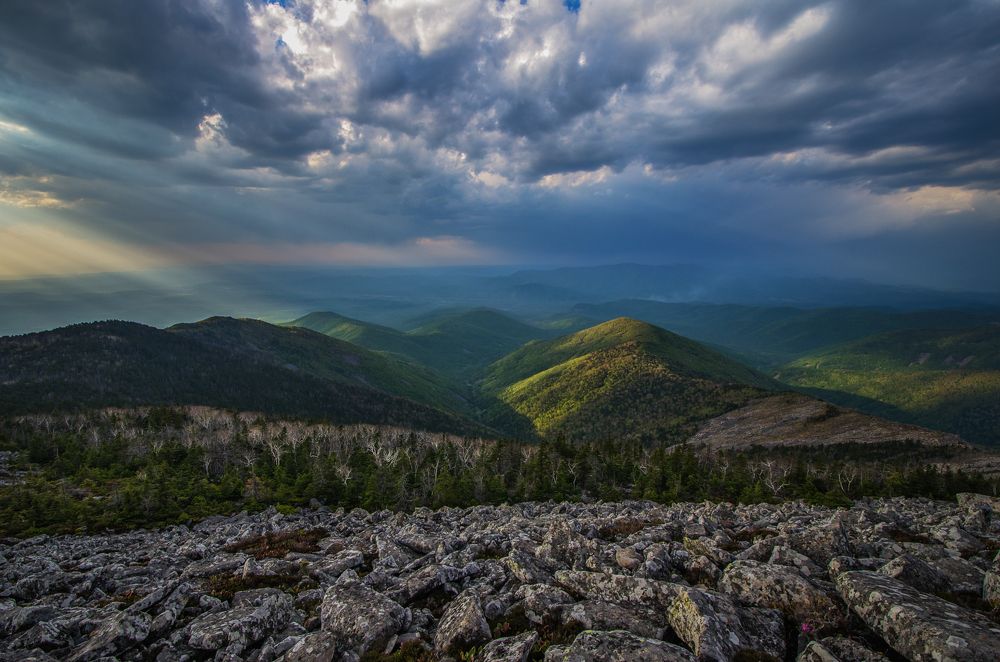 Рисуя светом