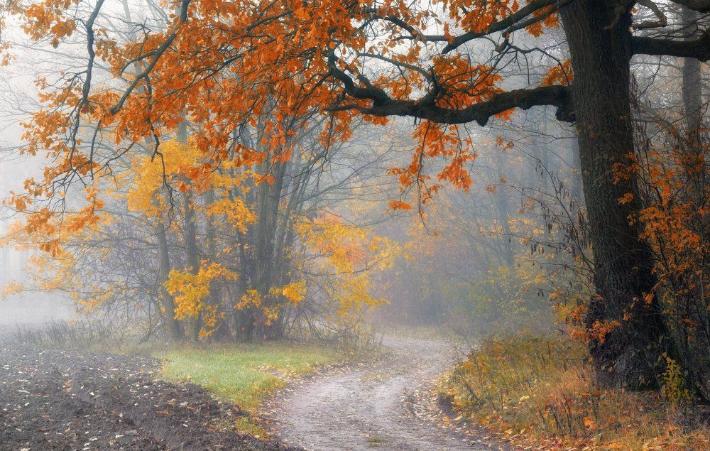 Осенними тропами