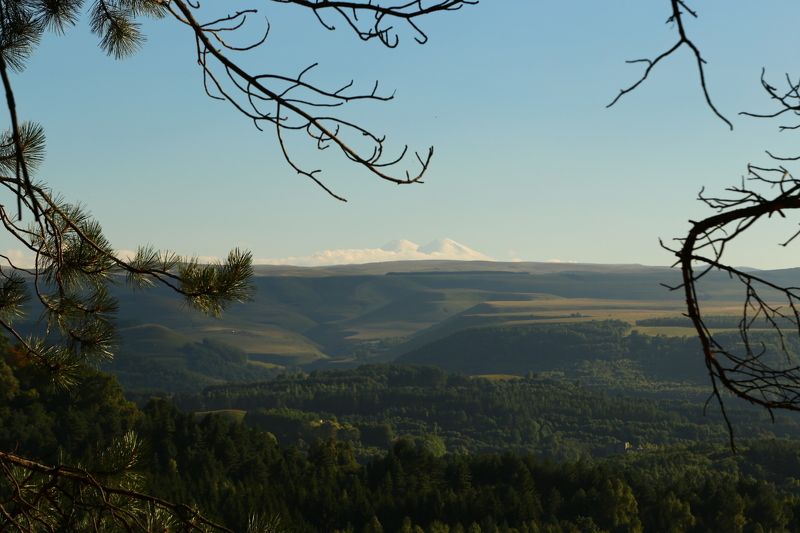 Анастасия Малева, Russia