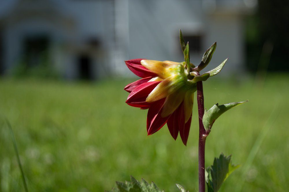 Одиночество