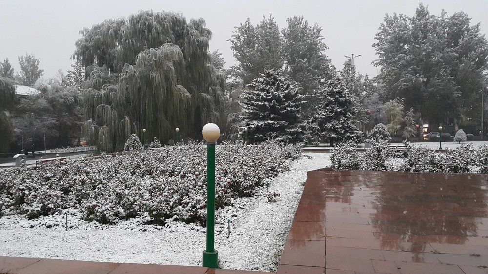 Photograph by Рысалиева Жанара