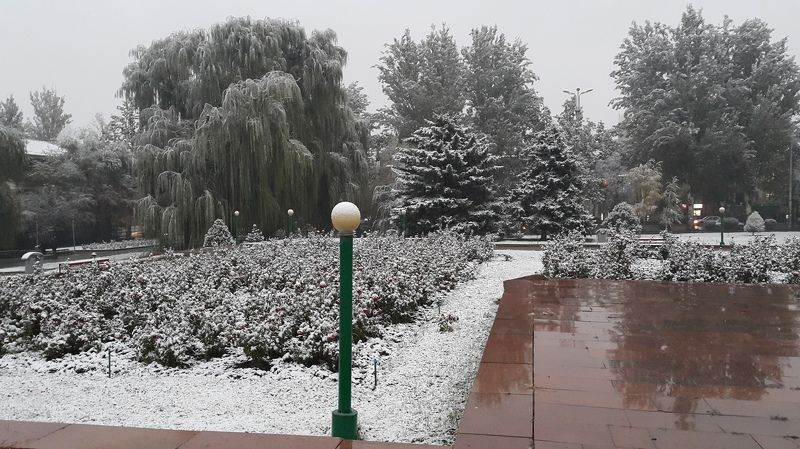 Рысалиева Жанара, Kyrgyzstan (Kyrgyzstan)