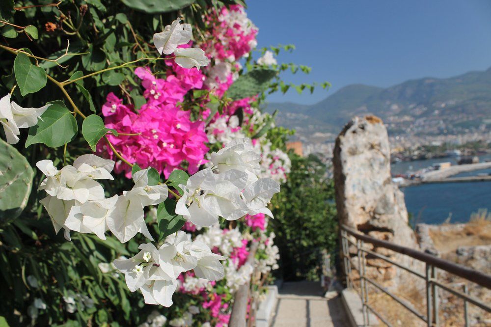 Природа Турции